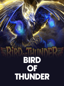 Cara Bermain Bird of Thunder untuk Pemula